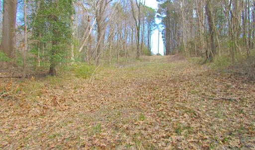Photo #18 of SOLD property in Off Oak Tree Lane, Isle Of Wight, VA 11.0 acres