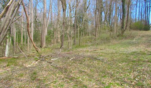 Photo #19 of SOLD property in Off Oak Tree Lane, Isle Of Wight, VA 11.0 acres
