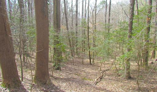 Photo #22 of SOLD property in Off Oak Tree Lane, Isle Of Wight, VA 11.0 acres