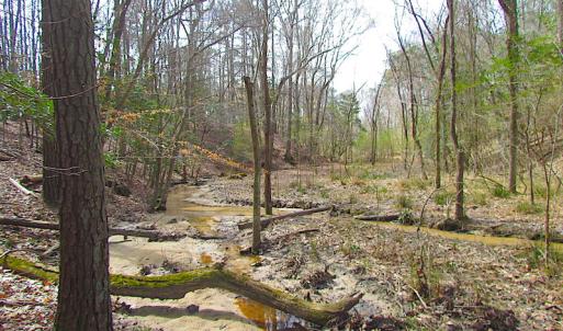 Photo #25 of SOLD property in Off Oak Tree Lane, Isle Of Wight, VA 11.0 acres