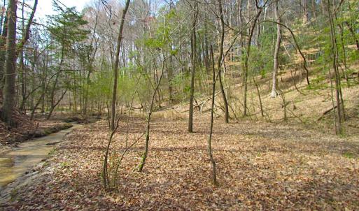 Photo #26 of SOLD property in Off Oak Tree Lane, Isle Of Wight, VA 11.0 acres