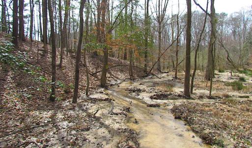 Photo #27 of SOLD property in Off Oak Tree Lane, Isle Of Wight, VA 11.0 acres