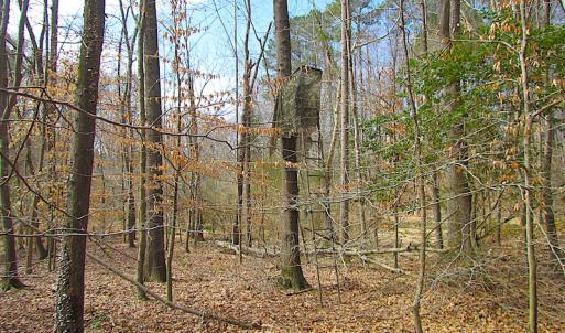 Photo #28 of SOLD property in Off Oak Tree Lane, Isle Of Wight, VA 11.0 acres