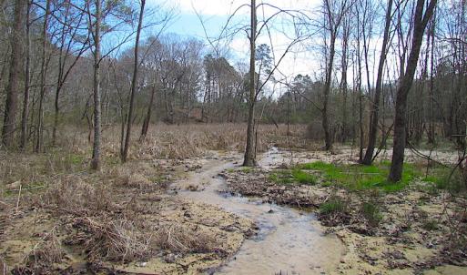 Photo #30 of SOLD property in Off Oak Tree Lane, Isle Of Wight, VA 11.0 acres
