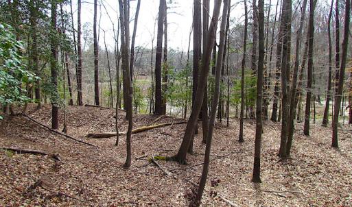 Photo #32 of SOLD property in Off Oak Tree Lane, Isle Of Wight, VA 11.0 acres