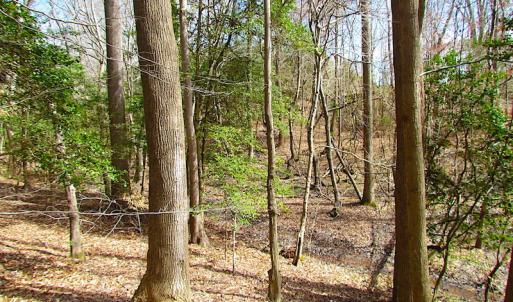 Photo #35 of SOLD property in Off Oak Tree Lane, Isle Of Wight, VA 11.0 acres