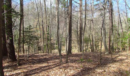 Photo #37 of SOLD property in Off Oak Tree Lane, Isle Of Wight, VA 11.0 acres