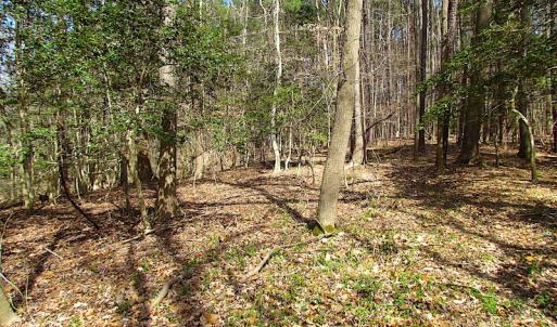 Photo #38 of SOLD property in Off Oak Tree Lane, Isle Of Wight, VA 11.0 acres