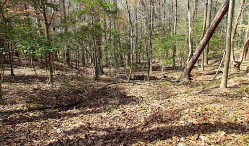 Photo #40 of SOLD property in Off Oak Tree Lane, Isle Of Wight, VA 11.0 acres
