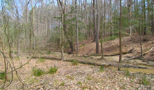 Photo #1 of SOLD property in Off Oak Tree Lane, Isle Of Wight, VA 11.0 acres