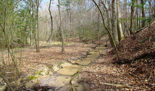 Photo #2 of SOLD property in Off Oak Tree Lane, Isle Of Wight, VA 11.0 acres