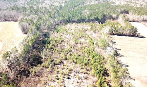 Photo #5 of 1504 Whitmore Road, McKenney, VA 56.0 acres