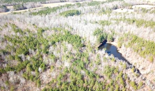 Photo #8 of 1504 Whitmore Road, McKenney, VA 56.0 acres