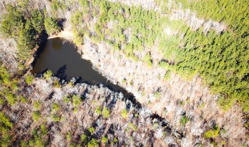 Photo #9 of 1504 Whitmore Road, McKenney, VA 56.0 acres