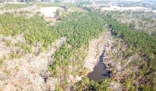 Photo #10 of 1504 Whitmore Road, McKenney, VA 56.0 acres