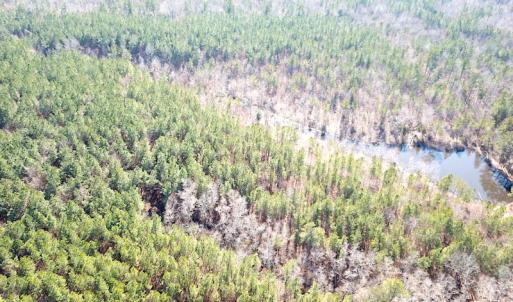 Photo #1 of 1504 Whitmore Road, McKenney, VA 56.0 acres