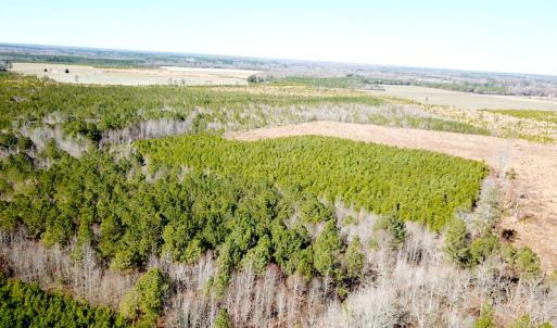 Photo #2 of SOLD property in Off Old Myrtle Road, Carrsville, VA 39.0 acres