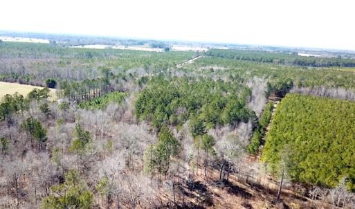 Photo #5 of SOLD property in Off Old Myrtle Road, Carrsville, VA 39.0 acres