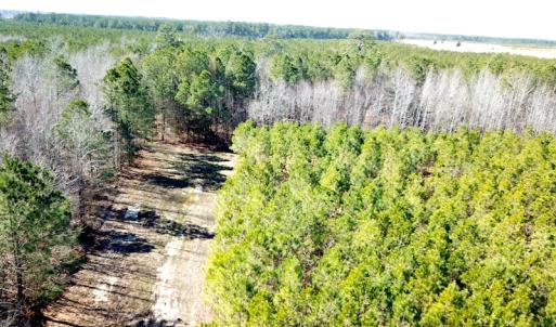 Photo #6 of SOLD property in Off Old Myrtle Road, Carrsville, VA 39.0 acres