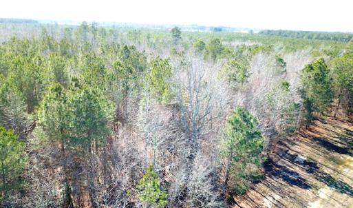 Photo #7 of SOLD property in Off Old Myrtle Road, Carrsville, VA 39.0 acres