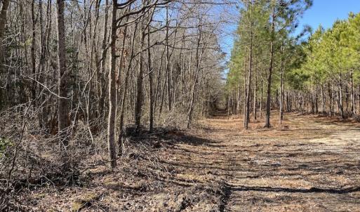 Photo #12 of SOLD property in Off Old Myrtle Road, Carrsville, VA 39.0 acres