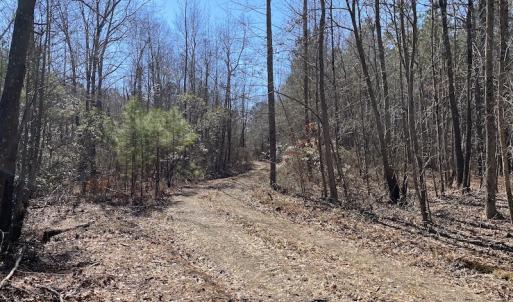 Photo #13 of SOLD property in Off Old Myrtle Road, Carrsville, VA 39.0 acres