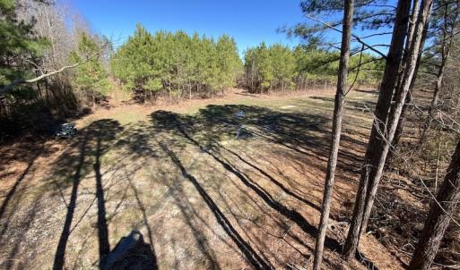 Photo #23 of SOLD property in Off Old Myrtle Road, Carrsville, VA 39.0 acres