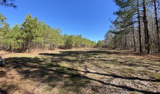 Photo #25 of SOLD property in Off Old Myrtle Road, Carrsville, VA 39.0 acres