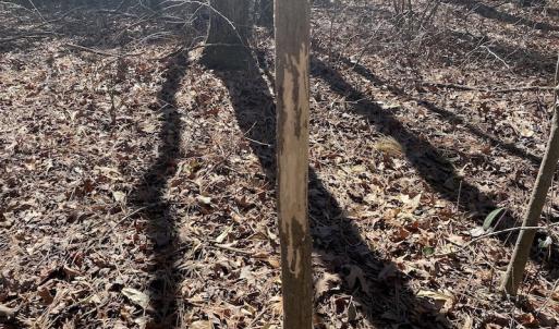 Photo #31 of SOLD property in Off Old Myrtle Road, Carrsville, VA 39.0 acres