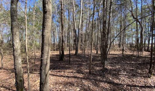 Photo #33 of SOLD property in Off Old Myrtle Road, Carrsville, VA 39.0 acres