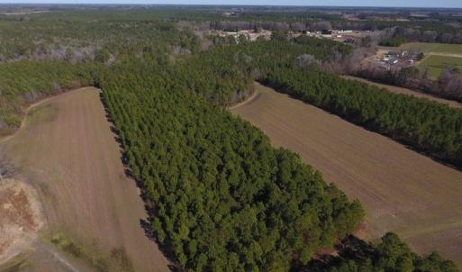 Photo #10 of SOLD property in Off Sawdust Road, Wilson, NC 12.5 acres
