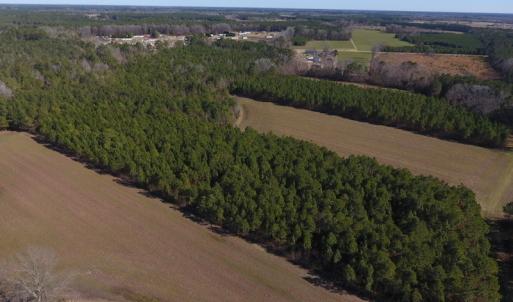 Photo #11 of SOLD property in Off Sawdust Road, Wilson, NC 12.5 acres