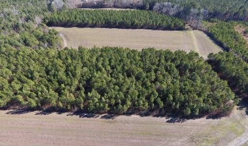 Photo #12 of SOLD property in Off Sawdust Road, Wilson, NC 12.5 acres