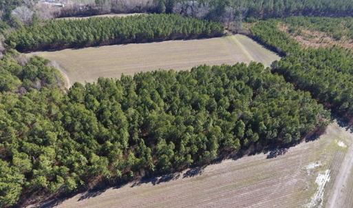 Photo #13 of SOLD property in Off Sawdust Road, Wilson, NC 12.5 acres