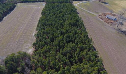 Photo #14 of SOLD property in Off Sawdust Road, Wilson, NC 12.5 acres