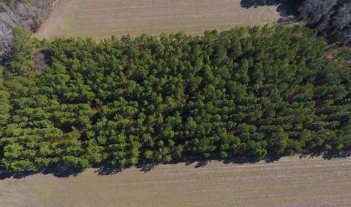 Photo #3 of SOLD property in Off Sawdust Road, Wilson, NC 12.5 acres