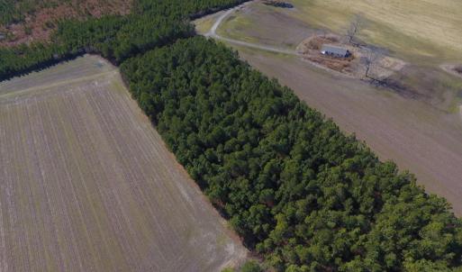 Photo #4 of SOLD property in Off Sawdust Road, Wilson, NC 12.5 acres