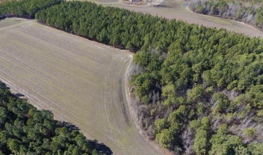 Photo #5 of SOLD property in Off Sawdust Road, Wilson, NC 12.5 acres