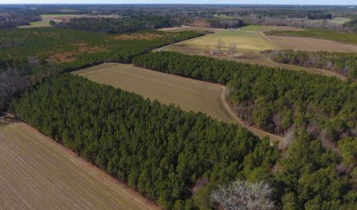 Photo #6 of SOLD property in Off Sawdust Road, Wilson, NC 12.5 acres