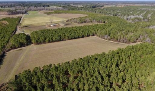 Photo #7 of SOLD property in Off Sawdust Road, Wilson, NC 12.5 acres
