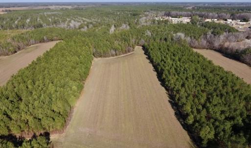 Photo #8 of SOLD property in Off Sawdust Road, Wilson, NC 12.5 acres