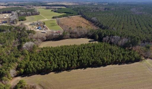 Photo #10 of SOLD property in Off Sawdust Road, Wilson, NC 13.1 acres