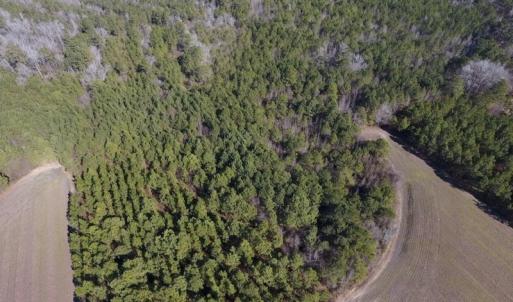 Photo #11 of SOLD property in Off Sawdust Road, Wilson, NC 13.1 acres