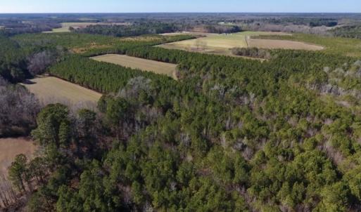 Photo #3 of SOLD property in Off Sawdust Road, Wilson, NC 13.1 acres