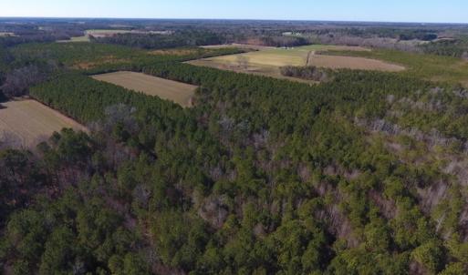 Photo #4 of SOLD property in Off Sawdust Road, Wilson, NC 13.1 acres