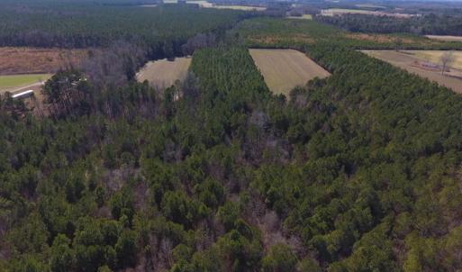 Photo #5 of SOLD property in Off Sawdust Road, Wilson, NC 13.1 acres