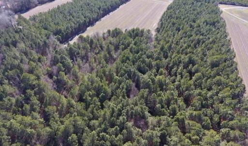 Photo #6 of SOLD property in Off Sawdust Road, Wilson, NC 13.1 acres
