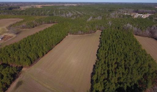 Photo #7 of SOLD property in Off Sawdust Road, Wilson, NC 13.1 acres