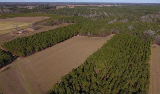 Photo #8 of SOLD property in Off Sawdust Road, Wilson, NC 13.1 acres