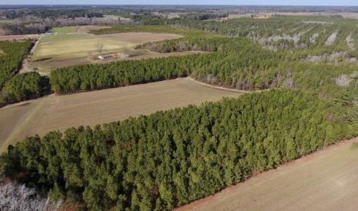 Photo #9 of SOLD property in Off Sawdust Road, Wilson, NC 13.1 acres